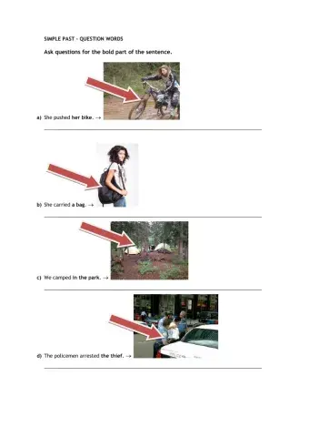 Question words with simple past tense