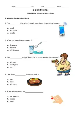Conditional Sentences