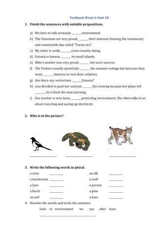Wow! 6 Unit 18 worksheet