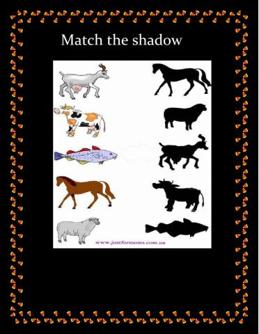 match the shadow