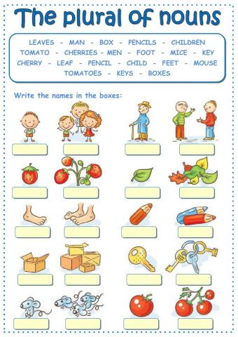 The plural of nouns