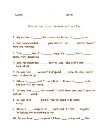 Indefinite Article-5