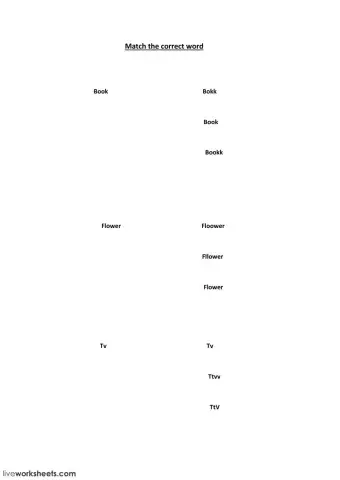 match the correct word