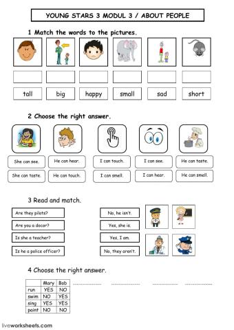 About People - Young Stars 3 - Module 3