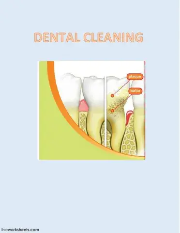 Dental Cleaning