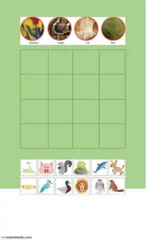 Animal body covering