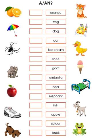 Indefinite articles: a-an