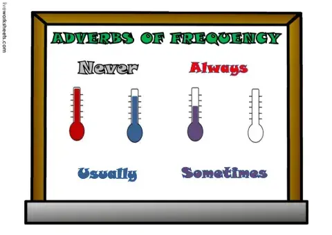 Adverbs of frequency