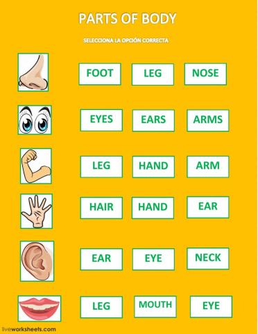 Parts of body