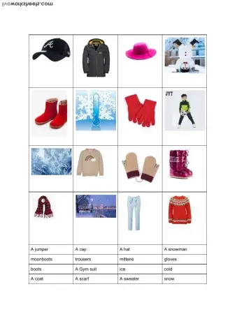 Carcare year 2 Autumn things