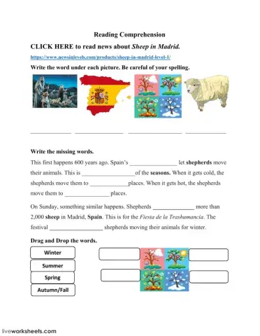 Sheep in Madrid - Level 1