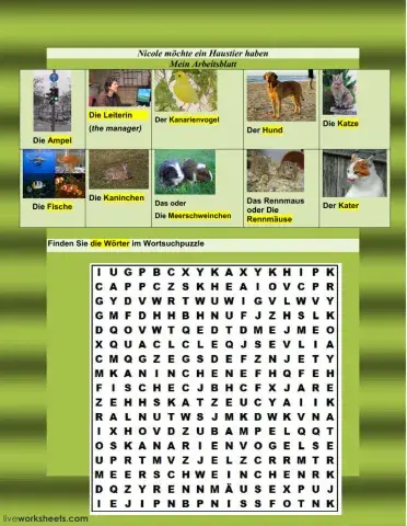 Nicole möchte ein Haustier haben