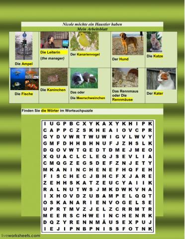 Nicole möchte ein Haustier haben