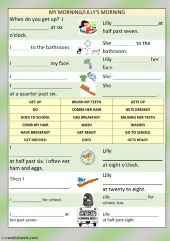 My morning-lilly's morning