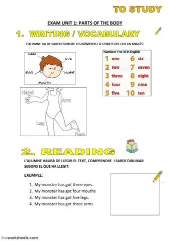 Parts of the body exam