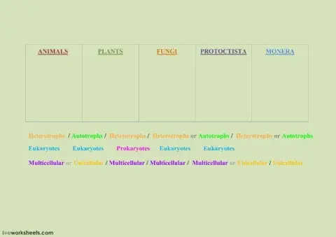 Characteristics 5 kingdoms