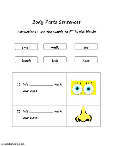 Body Parts Sentences