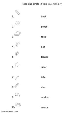 HK1 Words 1 Final practice