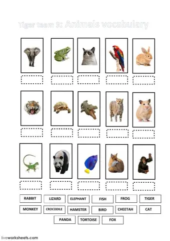 Names of the animals  