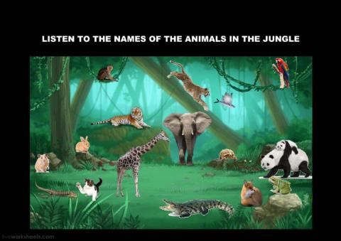 LOOK AT THE ANIMALS IN THE JUNGLE