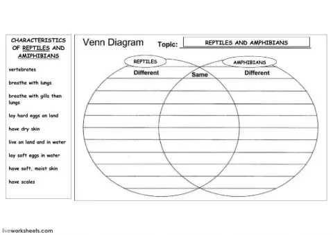 Venn Diagram - reptiles and amphibians