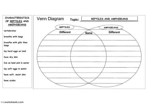Venn Diagram - reptiles and amphibians