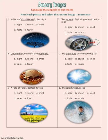 Sensory Image Practice