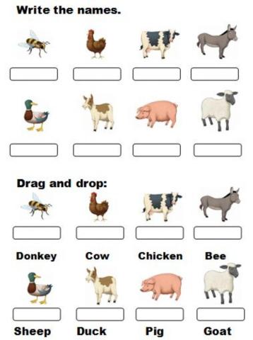 At the farm. write-drag and drop