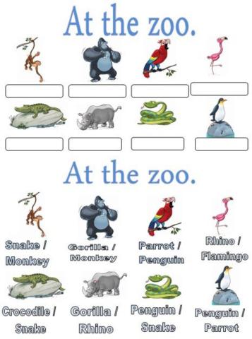 At the zoo. Choose-multiple choise.