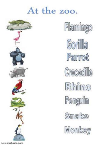 At the zoo. Match-listen and match.