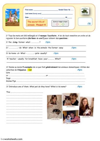 Test present simple vs present continuous