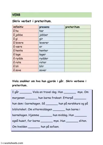 Verb i preteritum