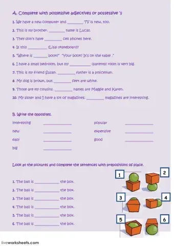 Possessive adjectives-prepositions of place