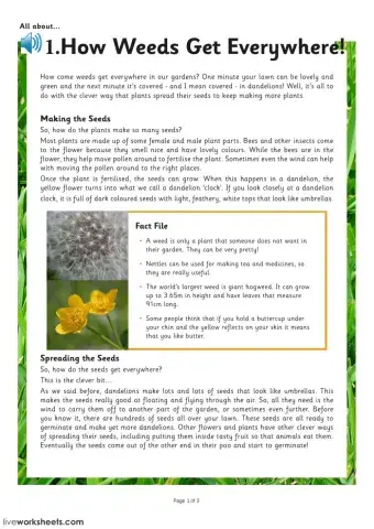 Reading comprehension 4