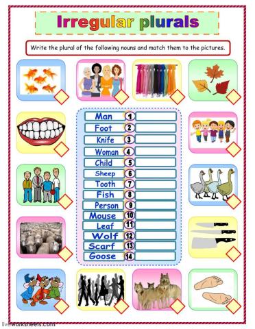 Irregular plural nouns