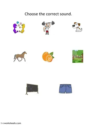 Choose the correct sound