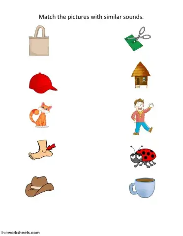 Match the pictures with similar sounds.
