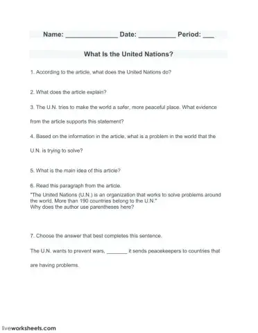 What Is the United Nations?