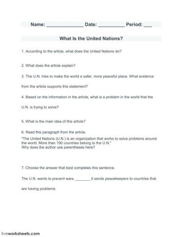 What Is the United Nations?