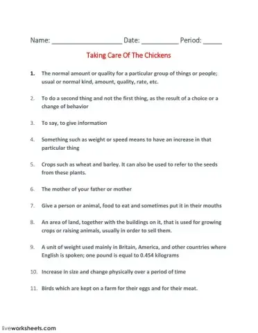 Taking Care Of The Chickens