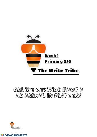 P 5-6 online revision (Week 1 )