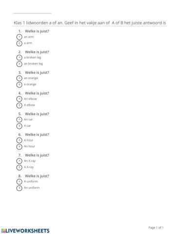 NGM: Klas 1 Lidwoord a of an