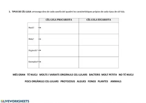 LA CÈL·LULA 1r ESO: TIPUS I PARTS