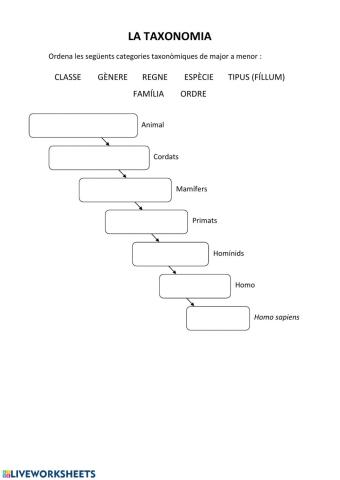 Categories taxonòmiques