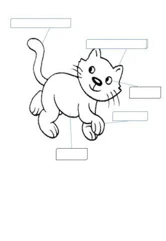 Bahagian tubuh badan haiwan