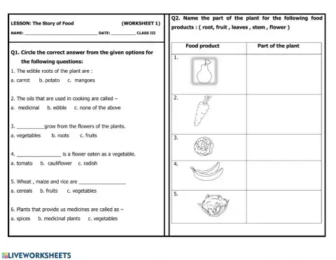 The story of food - worksheet 1