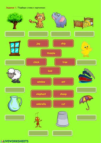 Alphabet for Spotlight 2