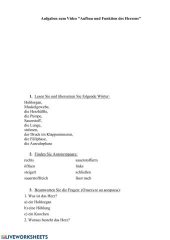 Aufbau und Funktion des Herzens