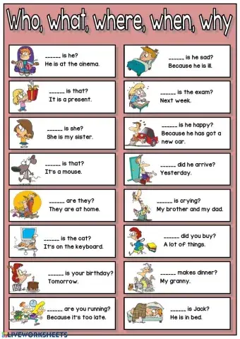 Who, what, where, when, why