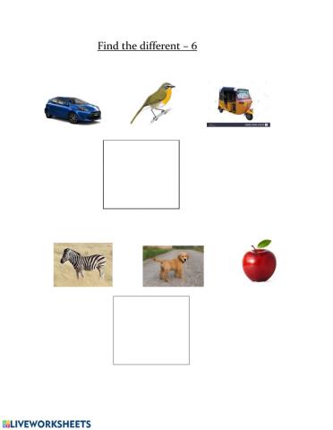 Find the different object - 6
